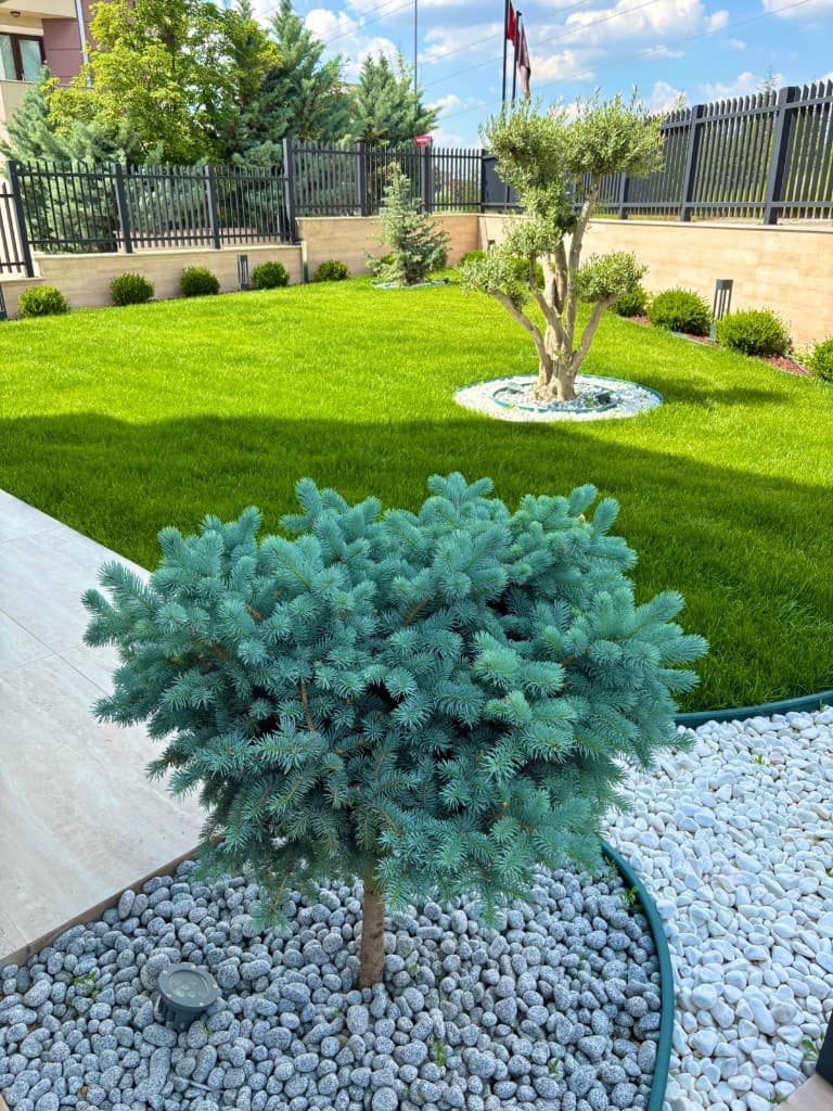 Villa Peyzaj — Geniş Yeşil Alan